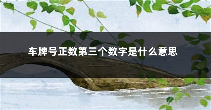 车牌号正数第三个数字是什么意思