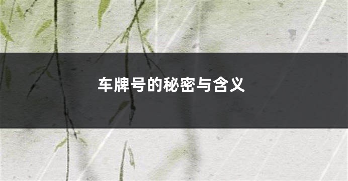 车牌号的秘密与含义
