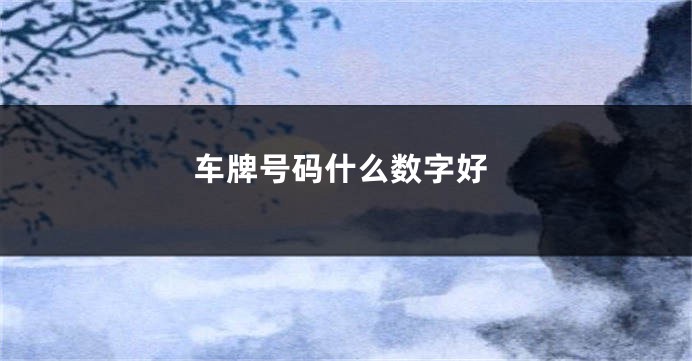 车牌号码什么数字好