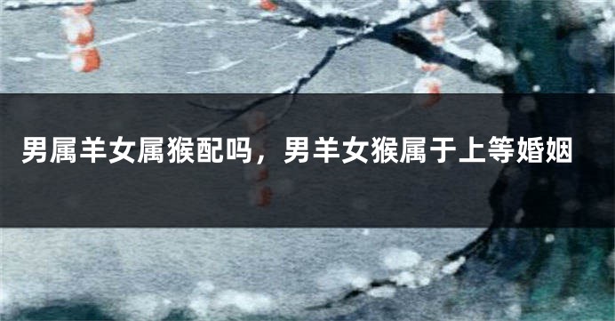 男属羊女属猴配吗，男羊女猴属于上等婚姻
