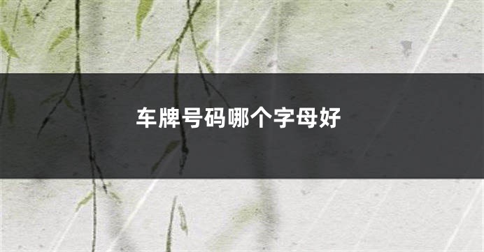 车牌号码哪个字母好