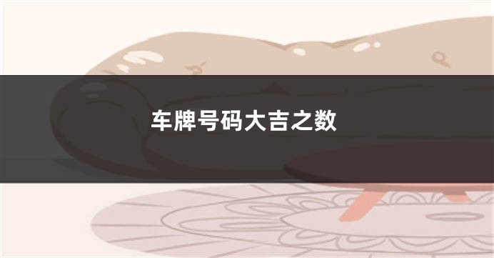 车牌号码大吉之数