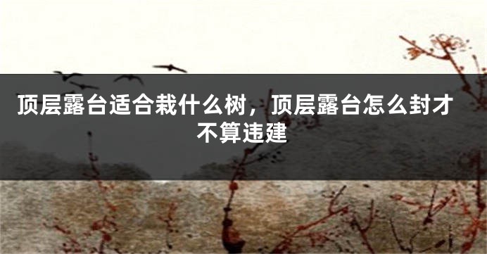 顶层露台适合栽什么树,顶层露台怎么封才不算违建