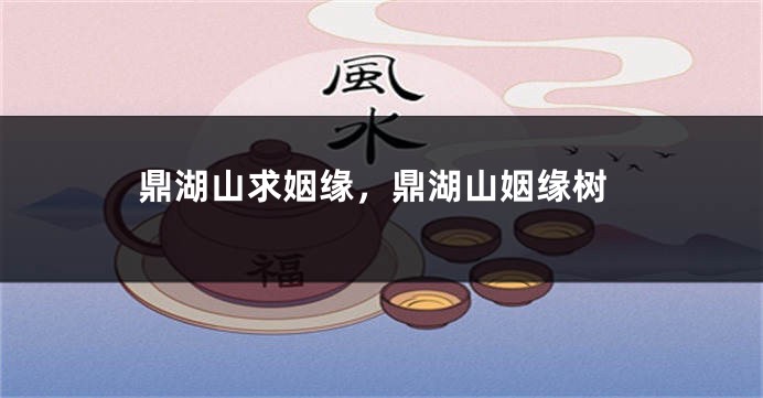 鼎湖山求姻缘，鼎湖山姻缘树