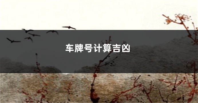 车牌号计算吉凶