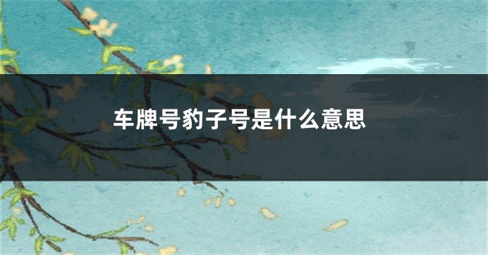 车牌号豹子号是什么意思