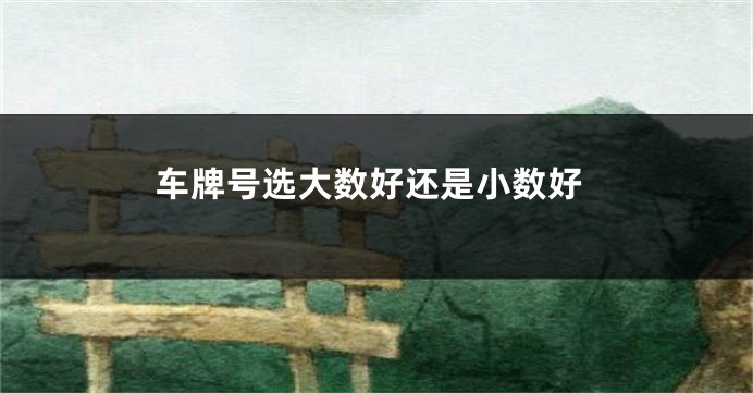 车牌号选大数好还是小数好