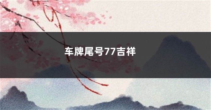 车牌尾号77吉祥