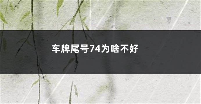 车牌尾号74为啥不好