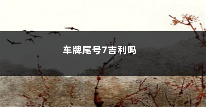 车牌尾号7吉利吗