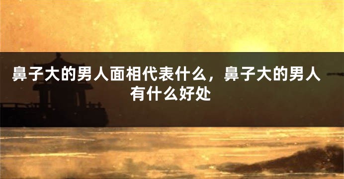 鼻子大的男人面相代表什么，鼻子大的男人有什么好处