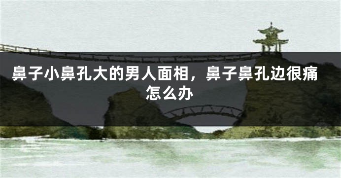鼻子小鼻孔大的男人面相，鼻子鼻孔边很痛怎么办