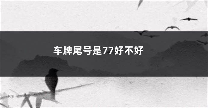 车牌尾号是77好不好