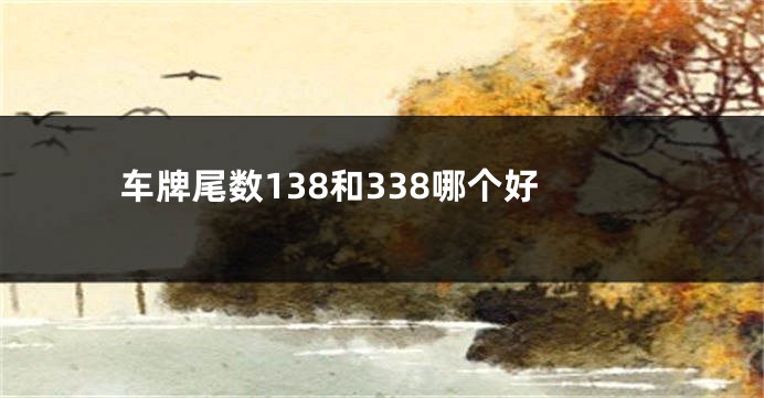 车牌尾数138和338哪个好