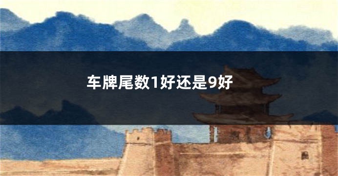 车牌尾数1好还是9好