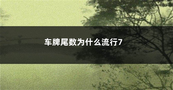 车牌尾数为什么流行7