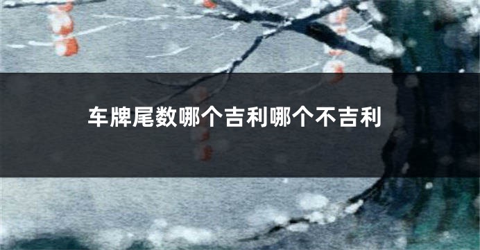 车牌尾数哪个吉利哪个不吉利