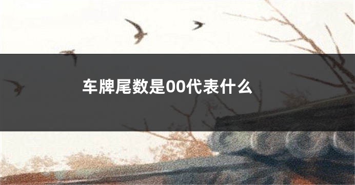 车牌尾数是00代表什么