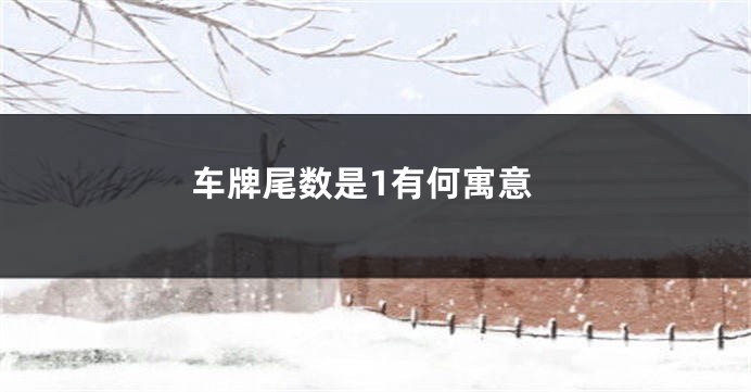 车牌尾数是1有何寓意
