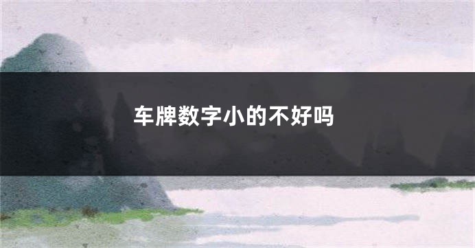 车牌数字小的不好吗