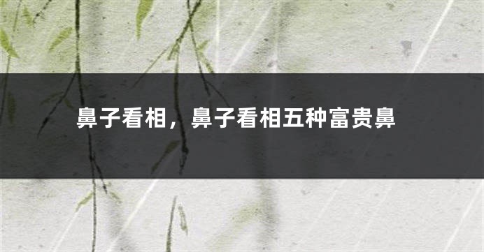 鼻子看相,鼻子看相五种富贵鼻