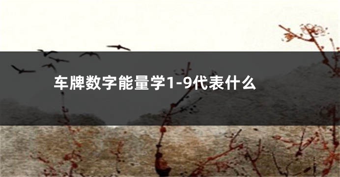 车牌数字能量学1-9代表什么