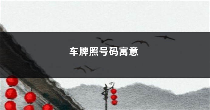 车牌照号码寓意