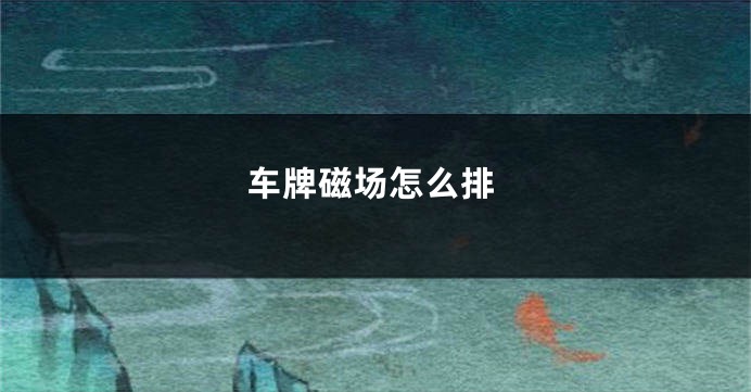 车牌磁场怎么排