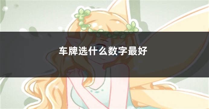 车牌选什么数字最好