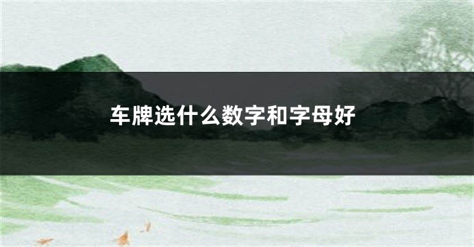 车牌选什么数字和字母好