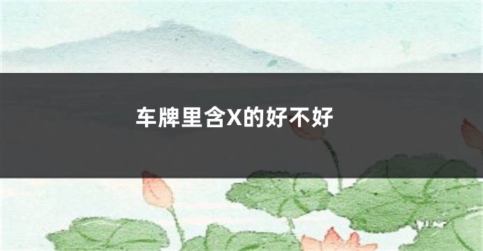 车牌里含X的好不好