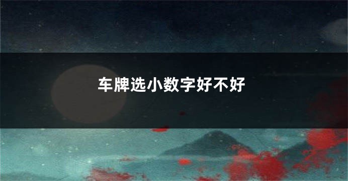 车牌选小数字好不好