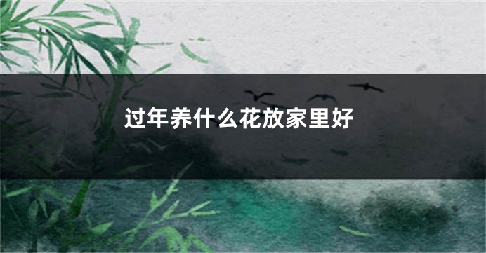 过年养什么花放家里好
