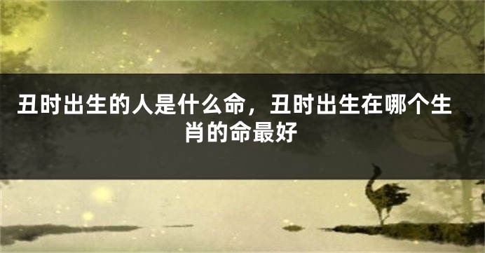 丑时出生的人是什么命，丑时出生在哪个生肖的命最好