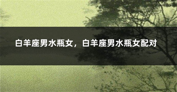 白羊座男水瓶女，白羊座男水瓶女配对