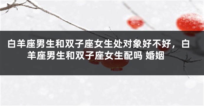 白羊座男生和双子座女生处对象好不好，白羊座男生和双子座女生配吗 婚姻
