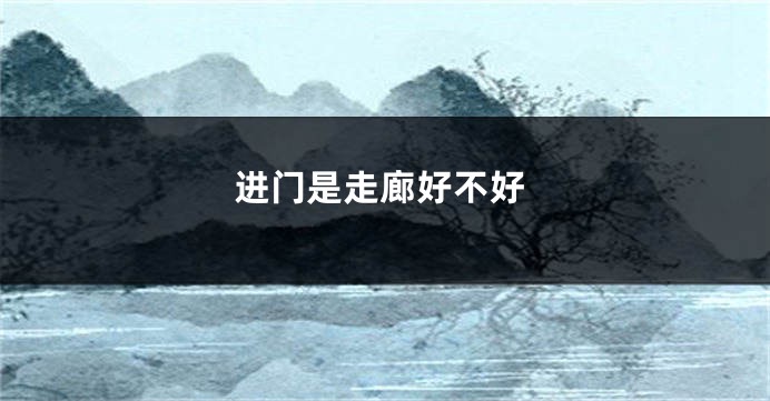 进门是走廊好不好