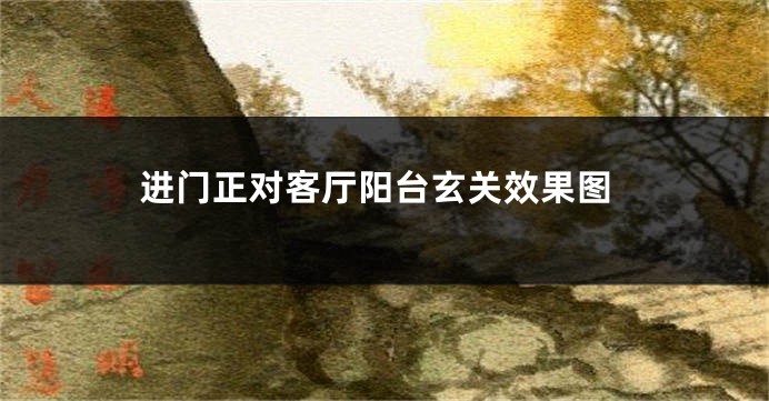 进门正对客厅阳台玄关效果图