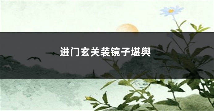 进门玄关装镜子堪舆