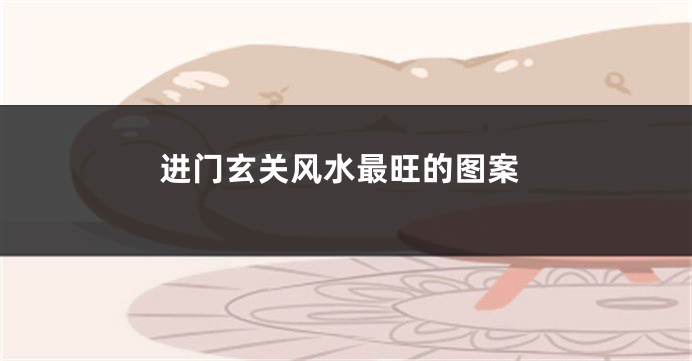 进门玄关风水最旺的图案