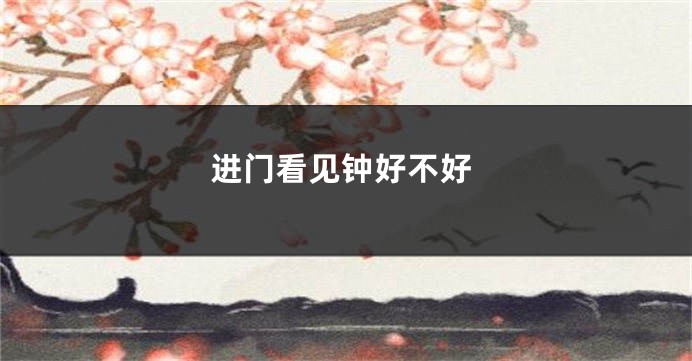 进门看见钟好不好