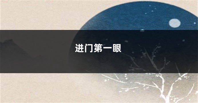 进门第一眼
