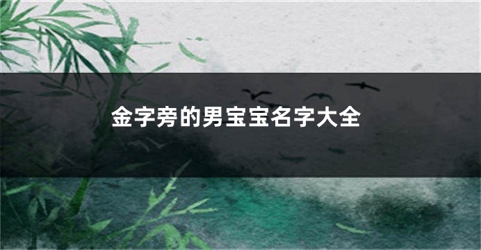 金字旁的男宝宝名字大全