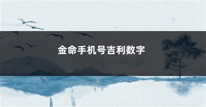 金命手机号吉利数字