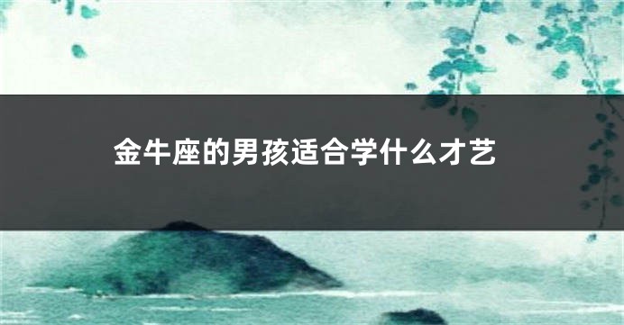 金牛座的男孩适合学什么才艺