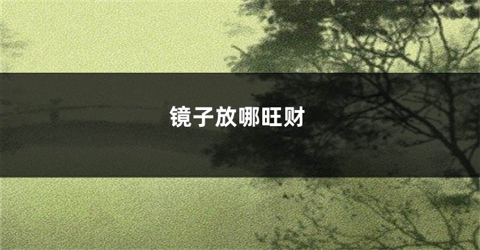 镜子放哪旺财
