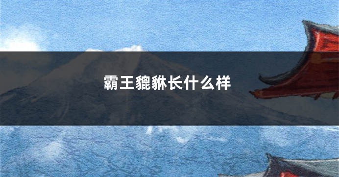 霸王貔貅长什么样