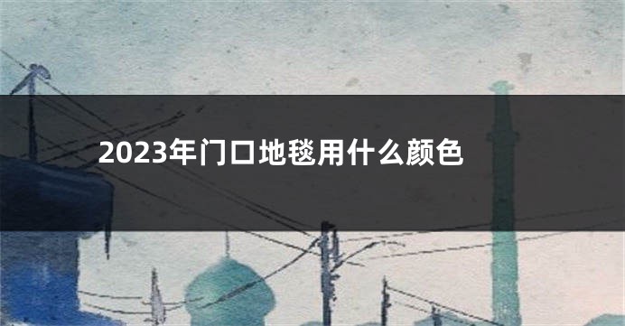 2023年门口地毯用什么颜色