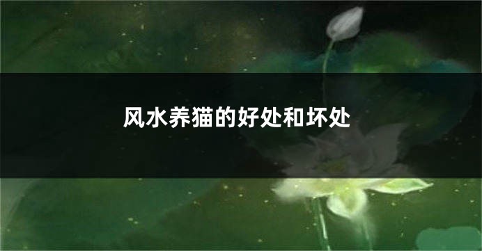 风水养猫的好处和坏处