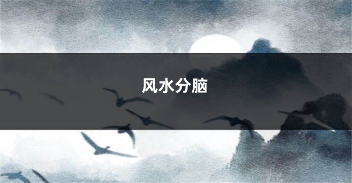 风水分脑